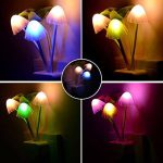 mashroom light 1