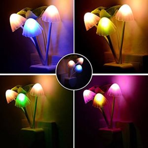 mashroom light 1